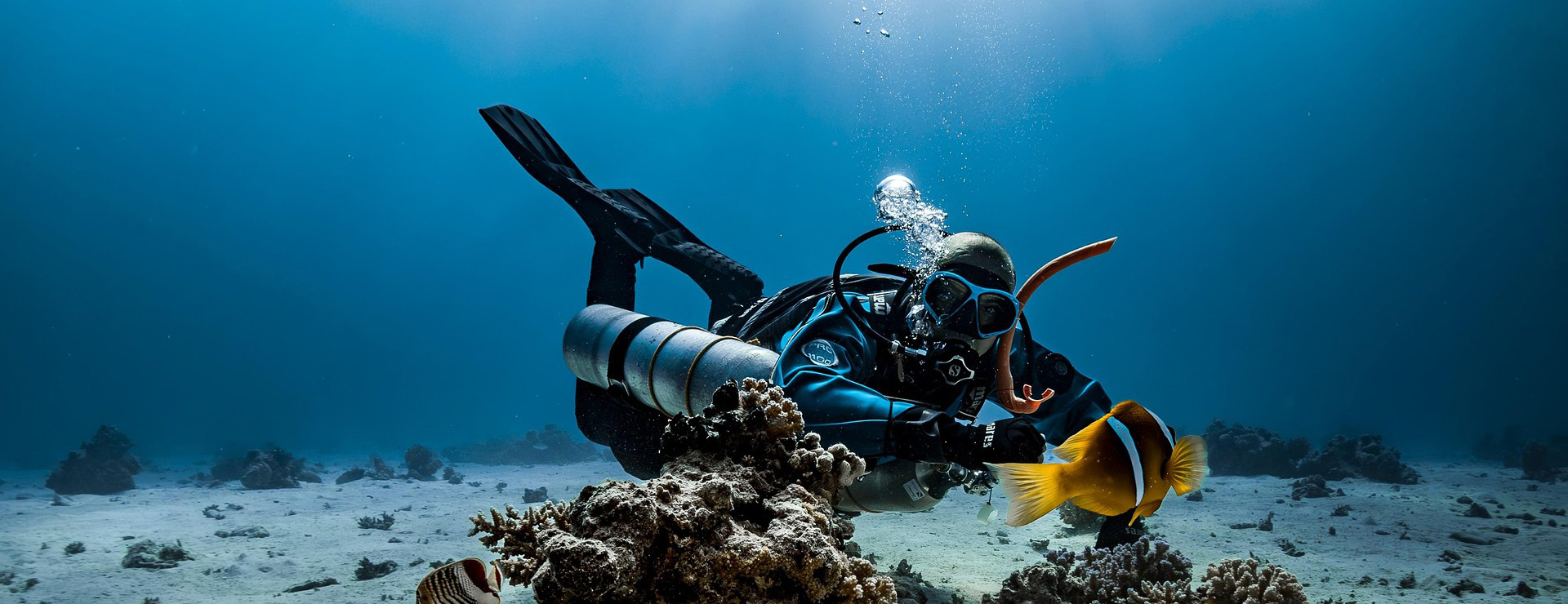 Surfcorner Store 3 Surfcorner Store -Surfcorner Store diver 9328628 1920