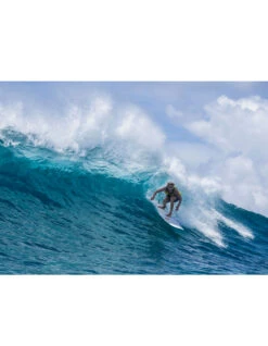 TORQ TET 8'0" LONG WHITE + PINLINE -Surfcorner Store torq tet 8 0 longboard white pinline 6